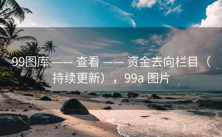 99图库 —— 查看 —— 资金去向栏目（持续更新），99a 图片